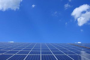Renogy Solar Panels Review