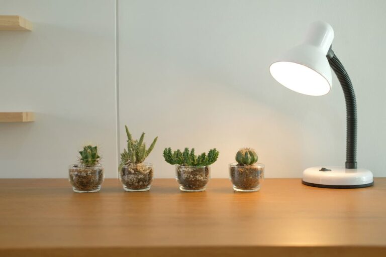 grow light lamp for kitchen plants